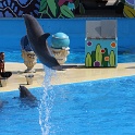 Marineland - Dauphins - 030